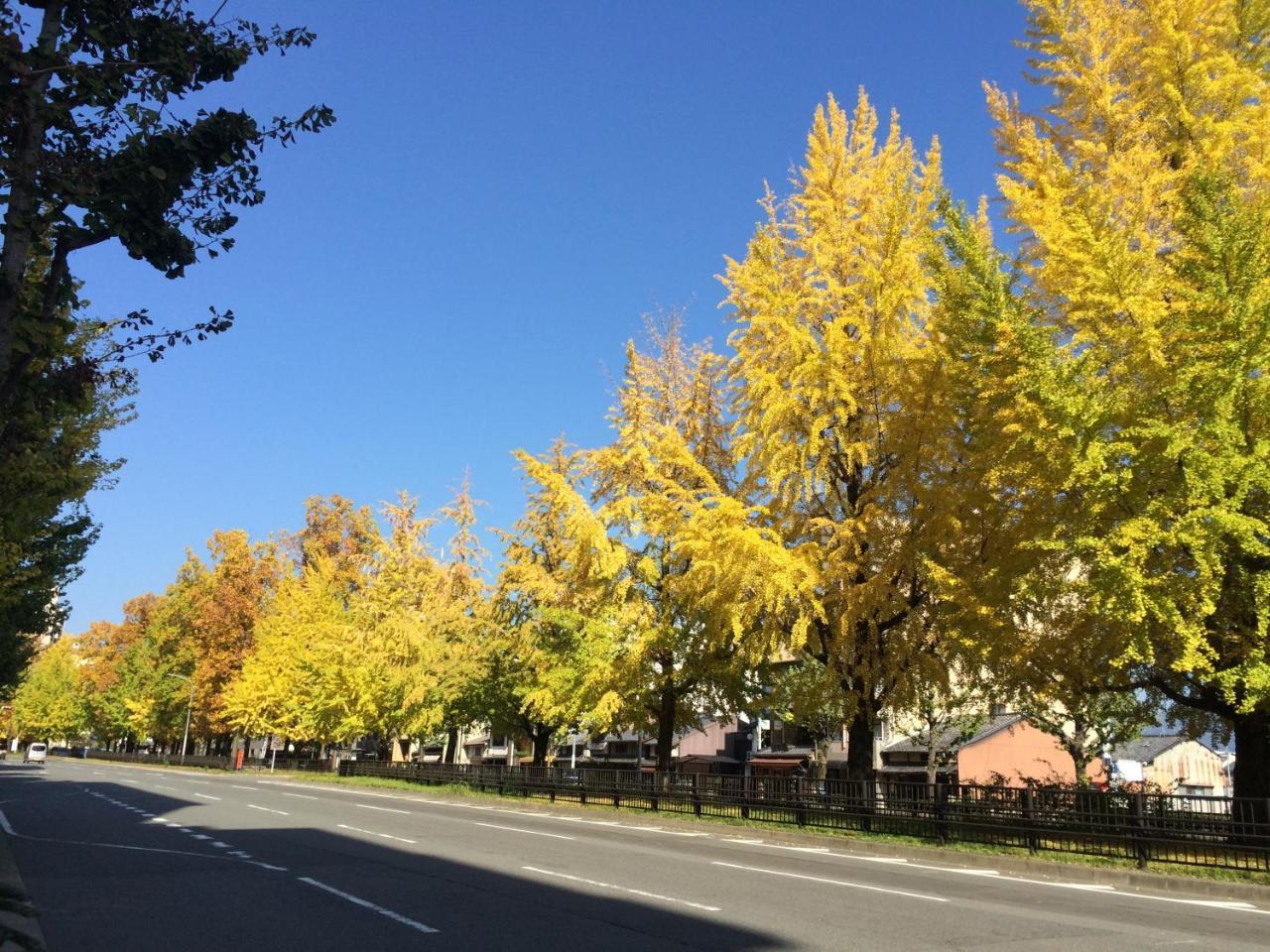 一条premium 別荘 京都市